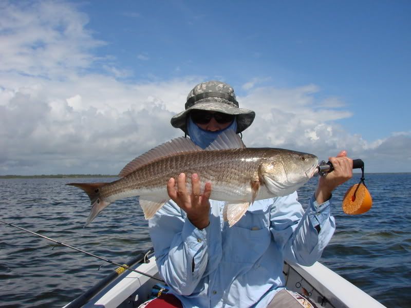 sat fish Dedicated To The Smallest Of Skiffs
