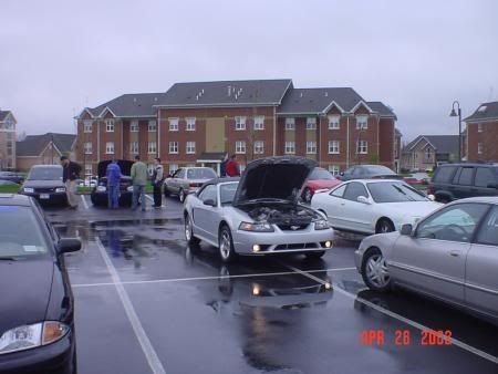 http://i61.photobucket.com/albums/h42/RedDawg55/Car%20club%20pics/South%20Lake%20Village%204-28-02/mustangcobrafront.jpg