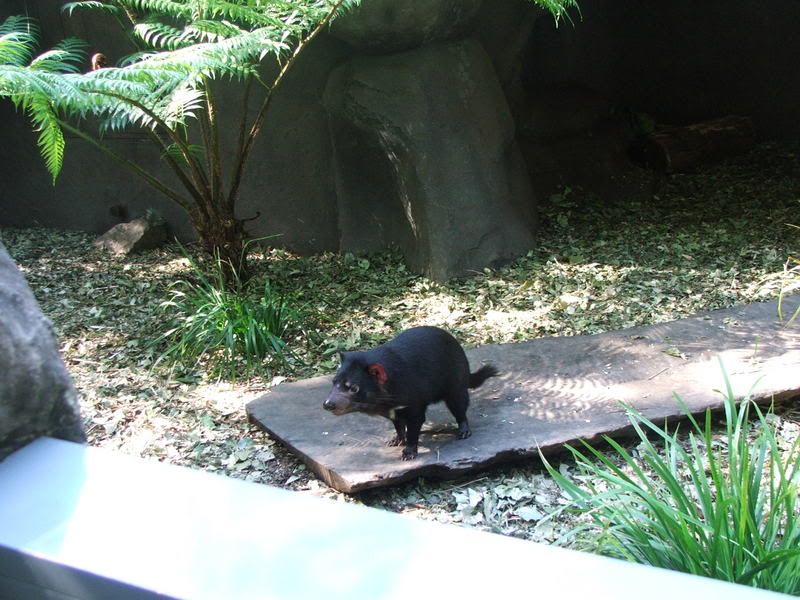 mummyandalishasaustraliatrip031.jpg