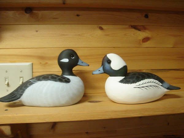 Close up on decoys