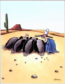 farside8.jpg