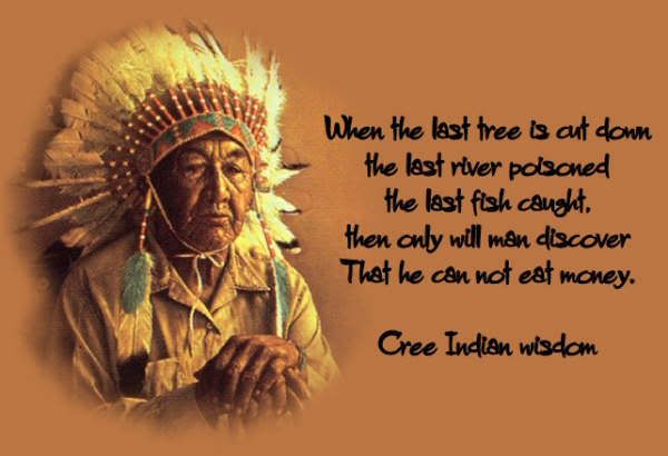 Cree Indian Wisdom