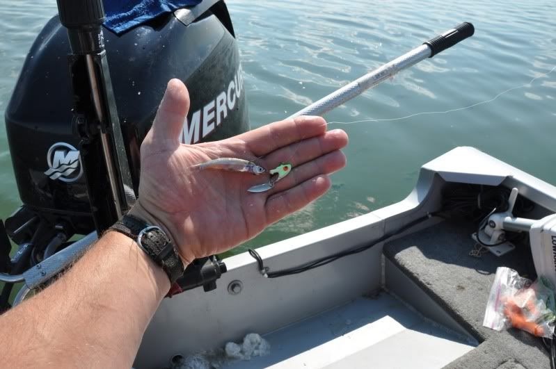 Jig Setup For Walleye Alberta Outdoorsmen Forum