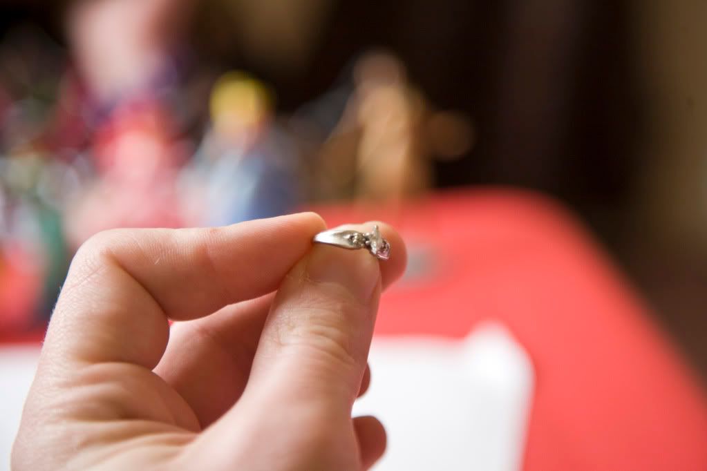 IMAGE: http://i61.photobucket.com/albums/h45/Elijaheos/1ring.jpg