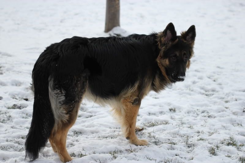 IMAGE: http://i61.photobucket.com/albums/h45/Foot67/Gifs/Smiles/Sebbie/LB2125.jpg