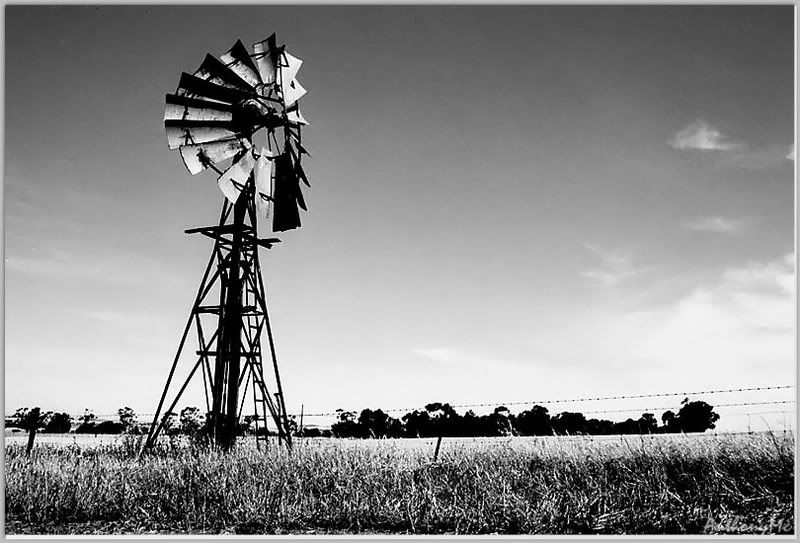 IMAGE: http://i61.photobucket.com/albums/h45/anthonymc_photos/04_23_37.jpg