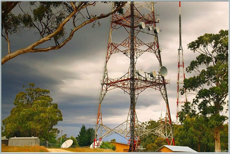 IMAGE: http://i61.photobucket.com/albums/h45/anthonymc_photos/Best1.jpg