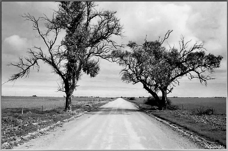 IMAGE: http://i61.photobucket.com/albums/h45/anthonymc_photos/CountryRoad.jpg?t=1164268665