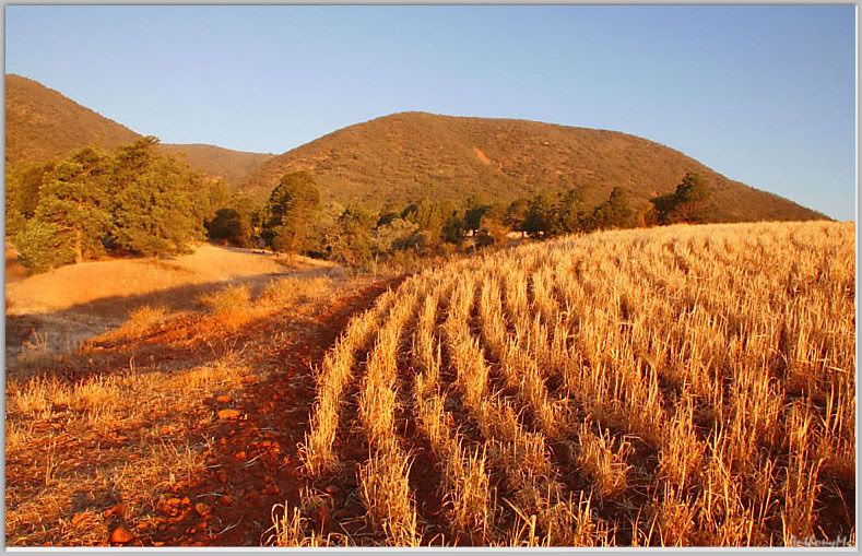 IMAGE: http://i61.photobucket.com/albums/h45/anthonymc_photos/Landscape1.jpg