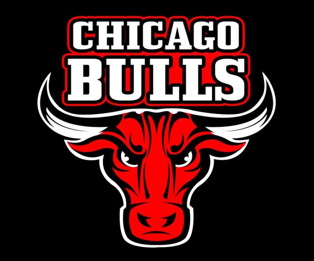 ChicagoBullsConcept2.jpg