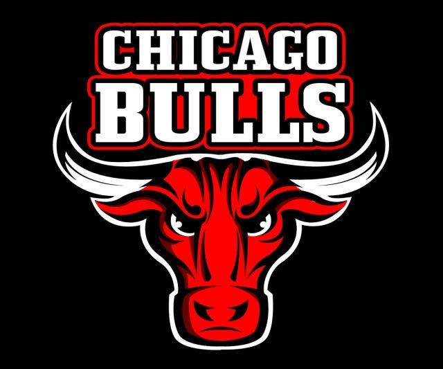 ChicagoBullsConcept3.jpg