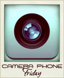 camera phone friday at my home sweet home online
