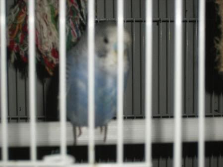 DSCF0548.jpg