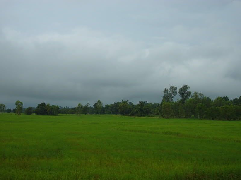 P1020534.jpg