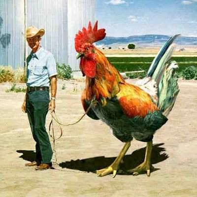 giantcock.jpg