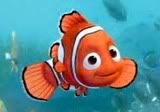 Nemo Pictures, Images and Photos