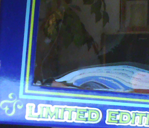 aladdinauction-4_zps75f46458.png
