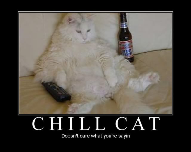 chill cat