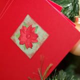 Poinsettia Cards- Set of Five