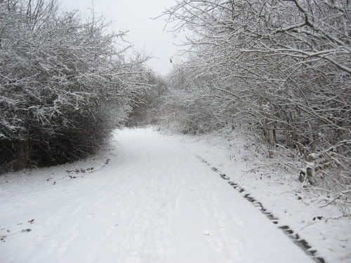 Schnee