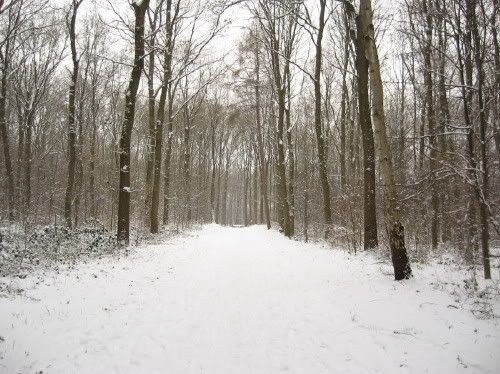 Winterwonderland