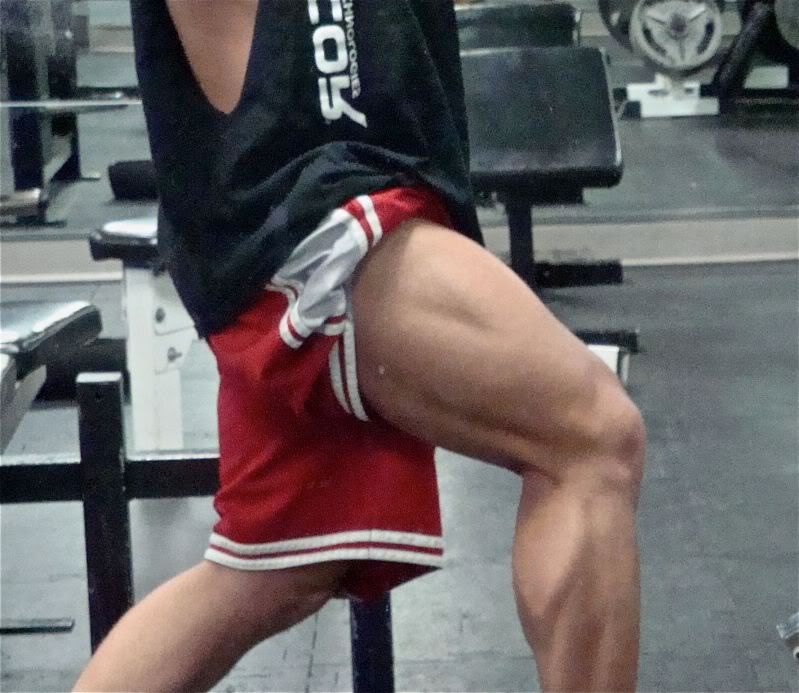 Leg day today, heres my progress (Outer sweep pics)