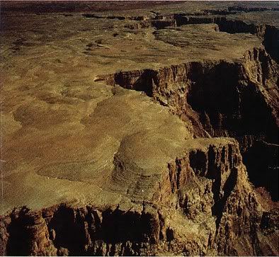 Post image for Does Social Plateau with Lead Generation?