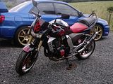 th_40600079.jpg