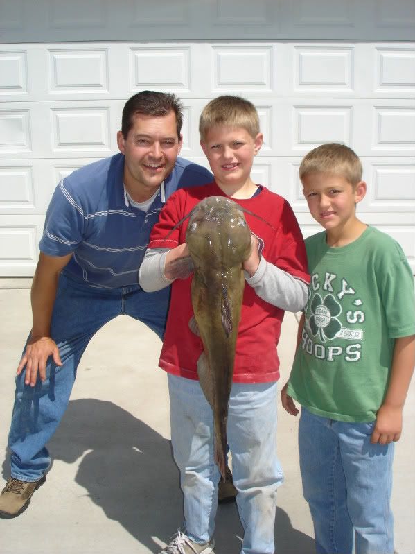 Utah Lake Bird Island Utah Wildlife Network