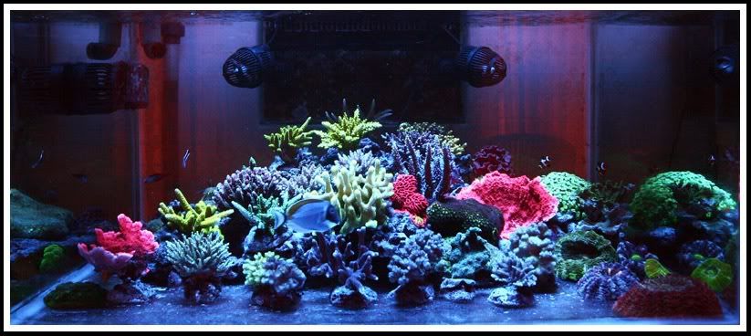 FTS22MARET2012-1.jpg