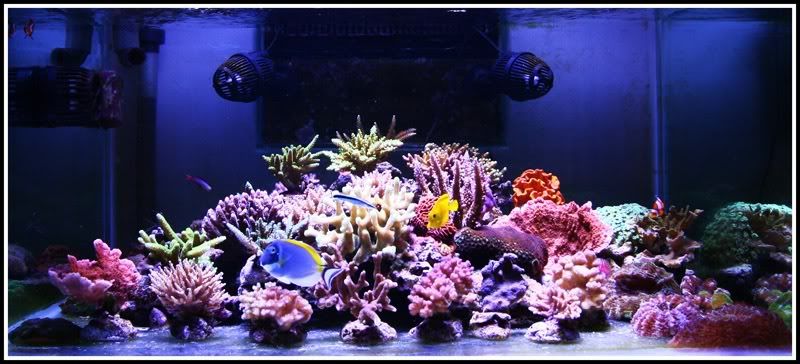 FTS22MARET2012-2.jpg