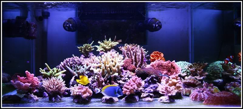 FTS22MARET2012-3.jpg