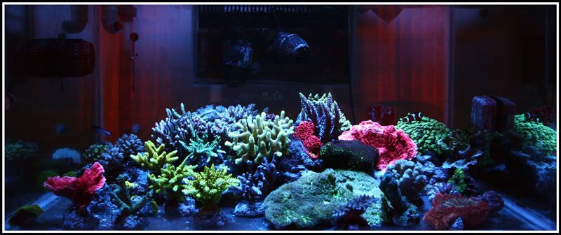 fts16jan121.jpg