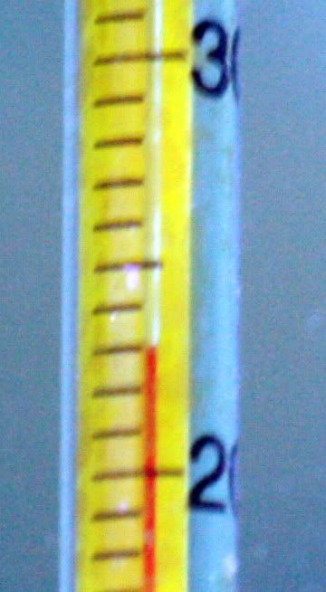 FTS_31_maret_201017.jpg