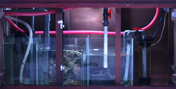 FTS_31_maret_201018.jpg