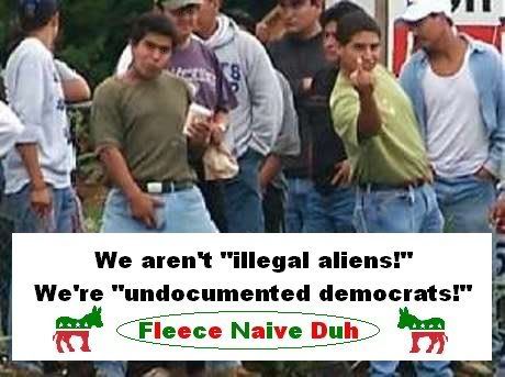 illegal aliens photo: illegal aliens MEXIFAGGOTS.jpg