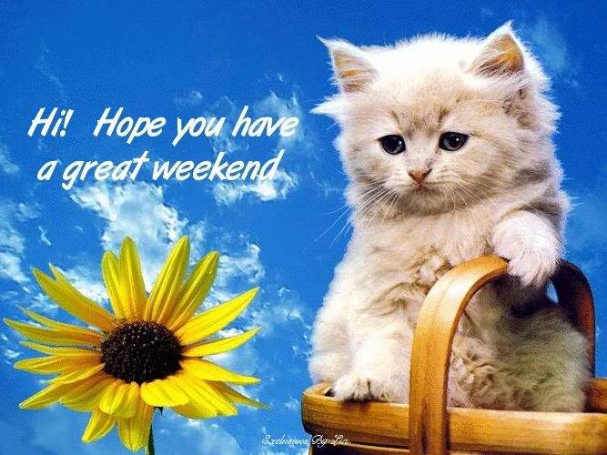 kitten667x500.jpg