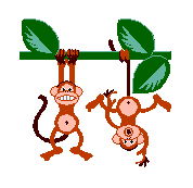 monkeys.gif
