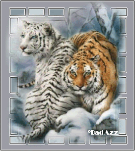 mixtiger.gif