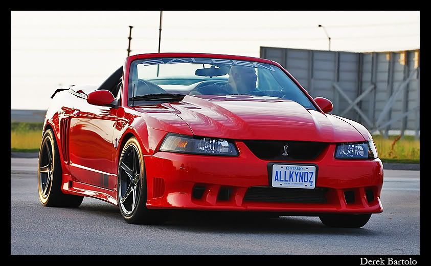 IMAGE: http://i61.photobucket.com/albums/h56/big_d57/400%20and%207/IMG_4412Medium.jpg