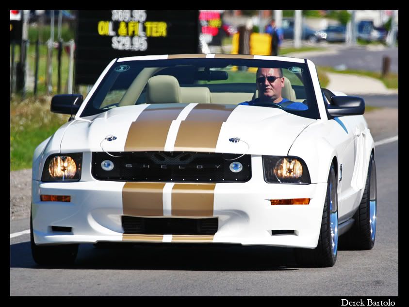 IMAGE: http://i61.photobucket.com/albums/h56/big_d57/DaSilva%20Dyno%20Day%202008/IMG_8470Medium.jpg