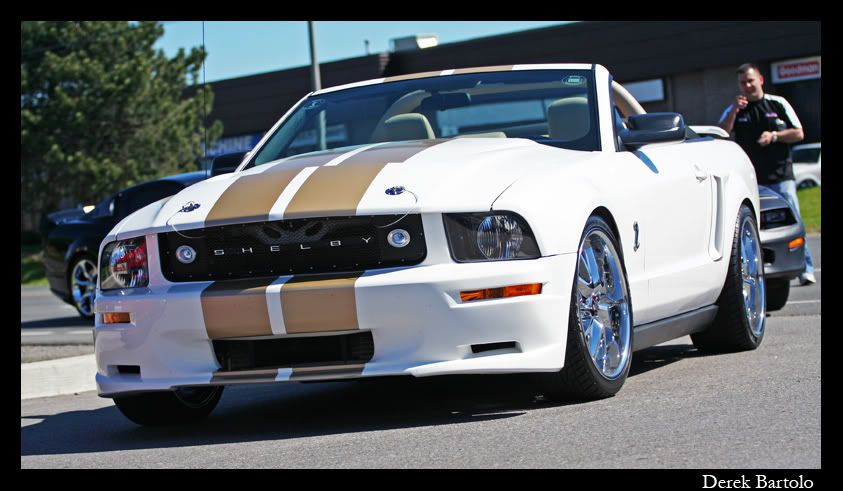 IMAGE: http://i61.photobucket.com/albums/h56/big_d57/DaSilva%20Dyno%20Day%202008/IMG_8484Medium.jpg