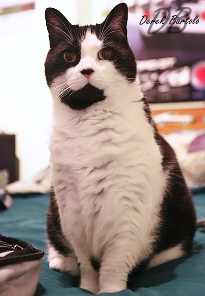 IMAGE: http://i61.photobucket.com/albums/h56/big_d57/IMG_0868Medium.jpg