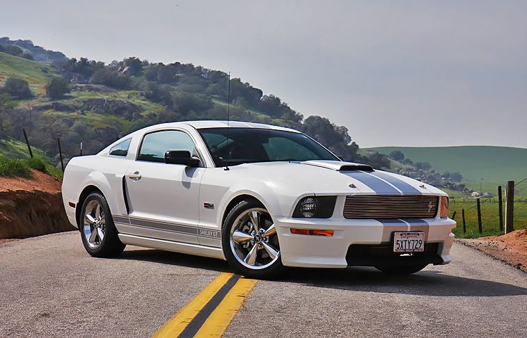 IMAGE: http://i61.photobucket.com/albums/h56/big_d57/Random%20pics/ShelbyGT.jpg