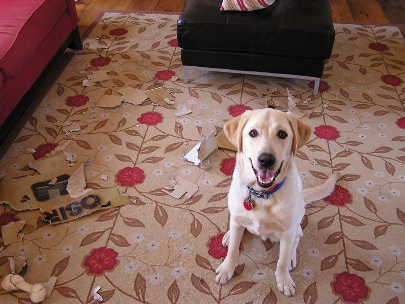  only fear about a facial piercing, that it would leave a permanent scar.