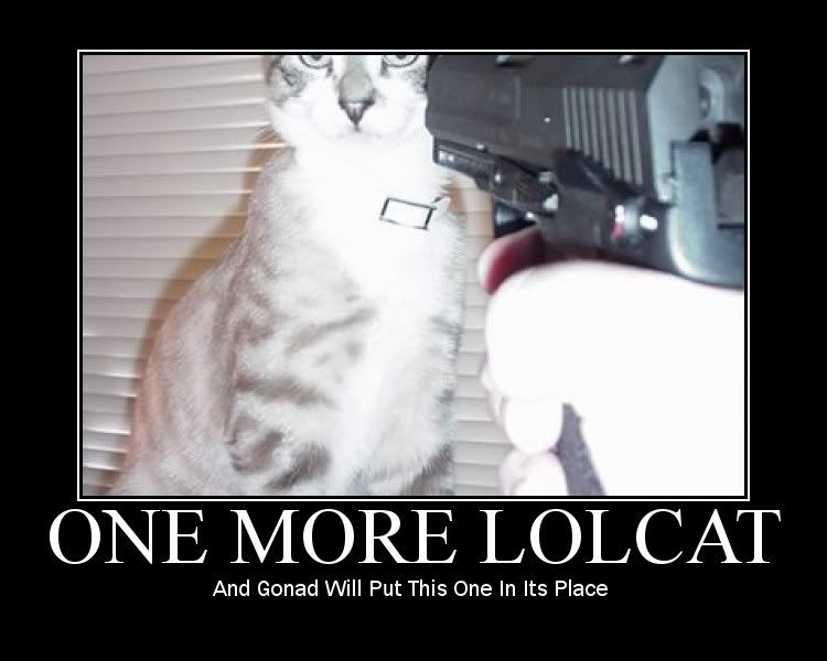 http://i61.photobucket.com/albums/h58/konvokiller/lolcat.jpg