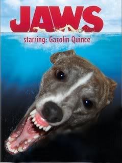 JAWS.jpg