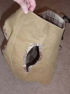 dog vest