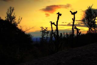 Sandias,New Mexico