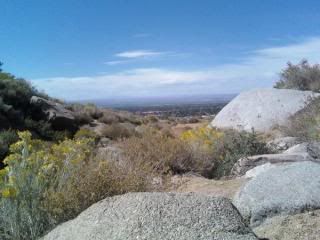 Sandias